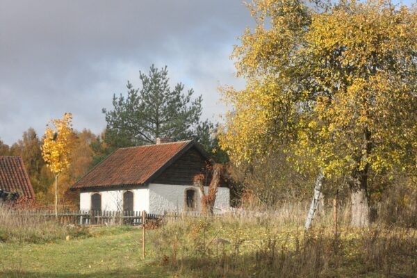 Ein kleines Bauernhaus umgeben von Wiesen und Birken in den Masuren