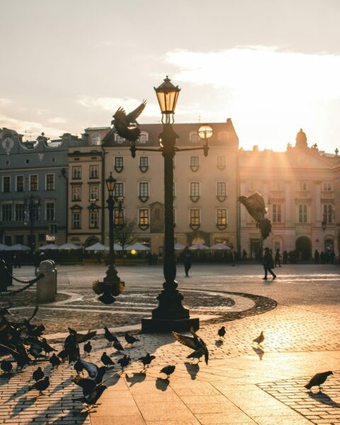 Marktplatz in Krakau, goldenes Licht, Morgenstimmungs