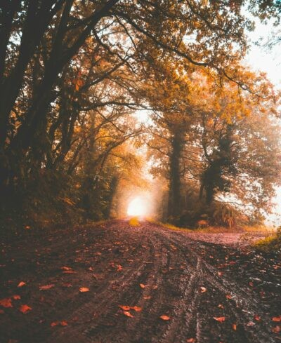 Schönste Reiseziele für Herbsturlaub in Deutschland